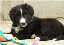 Click for large image