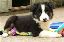 Click for large image