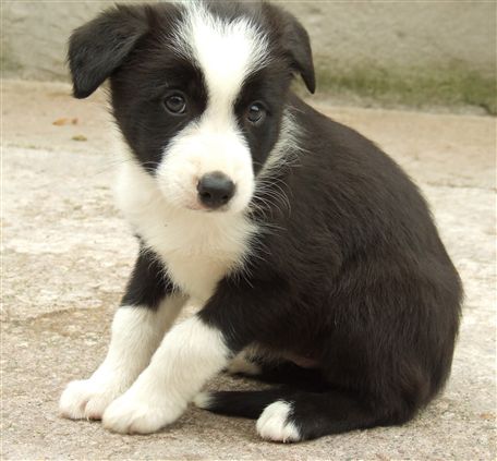 Click for large image