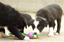 Click for large image