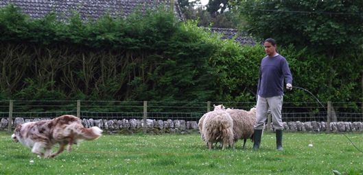 Click for large image