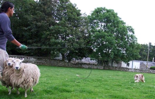 Click for large image