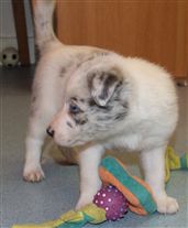 Click for large image