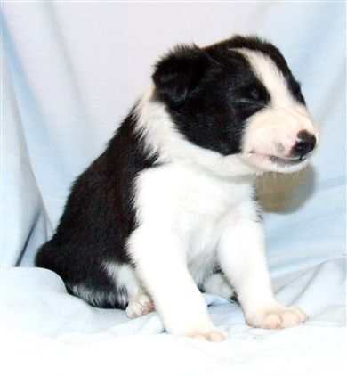 Click for large image