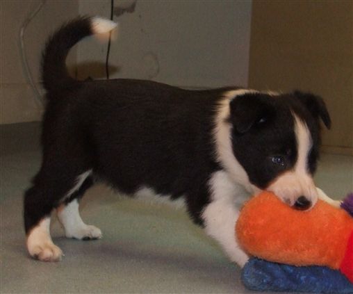 Click for large image