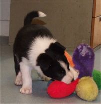 Click for large image