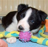 Click for large image