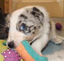 Click for large image