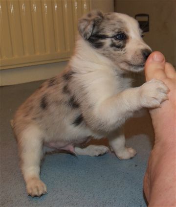 Click for large image