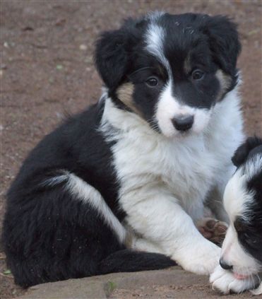 Click for large image