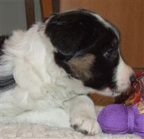 Click for large image