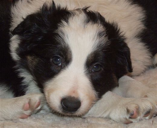 Click for large image