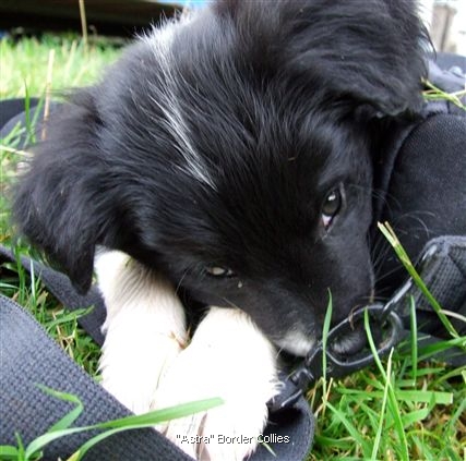 Click for large image