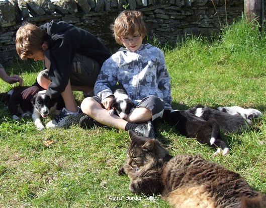 Click for large image