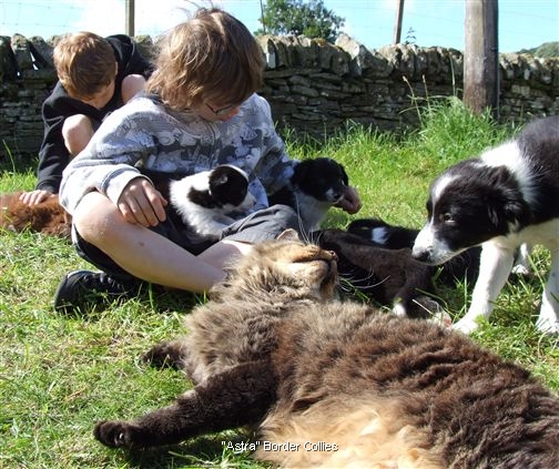 Click for large image