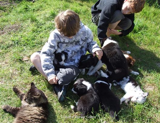 Click for large image