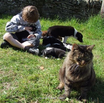 Click for large image