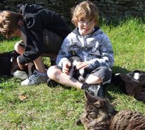 Click for large image