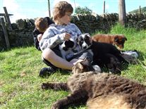 Click for large image