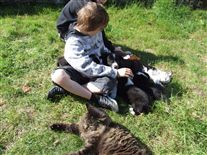 Click for large image