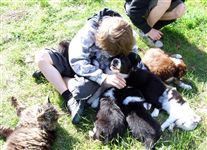 Click for large image