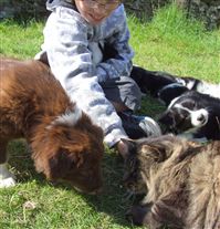 Click for large image