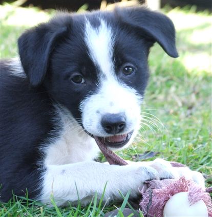 Click for large image