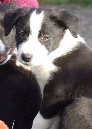 Click for large image