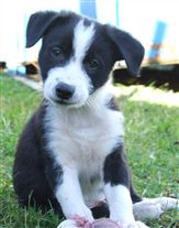 Click for large image