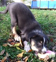 Click for large image