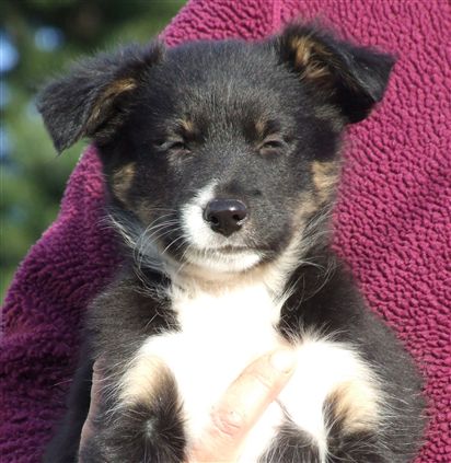 Click for large image