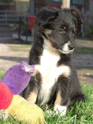 Click for large image