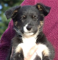 Click for large image