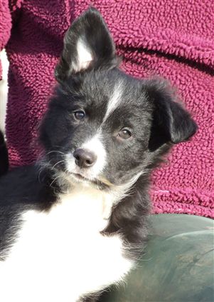 Click for large image