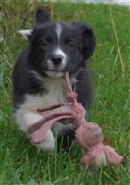 Click for large image