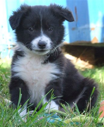 Click for large image