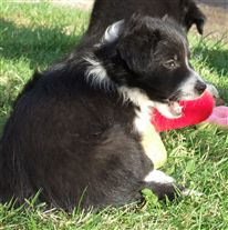 Click for large image