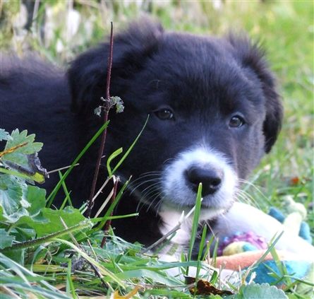 Click for large image