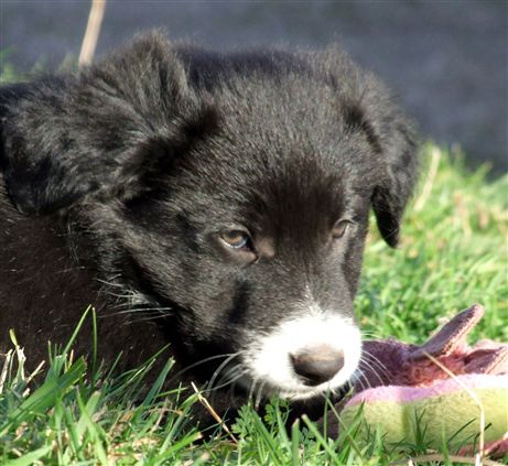 Click for large image