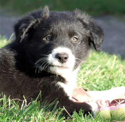 Click for large image