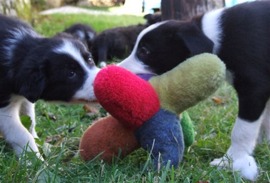 Click for large image