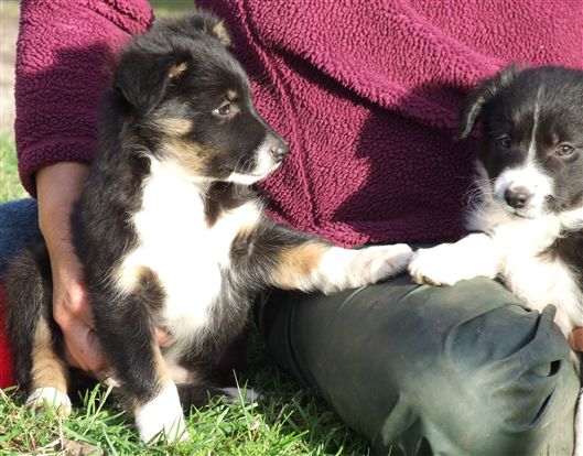 Click for large image